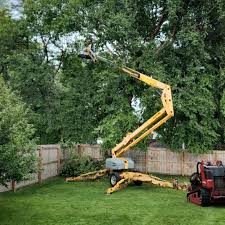 Blakely, PA Tree Care Services Company