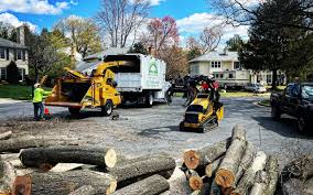 Best Storm Damage Tree Cleanup  in Blakely, PA